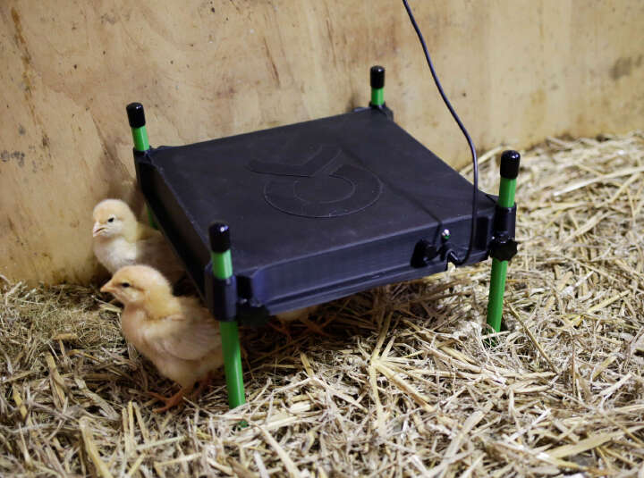 KERBL Wärmeplatte CosyHeat mit integriertem Thermostat